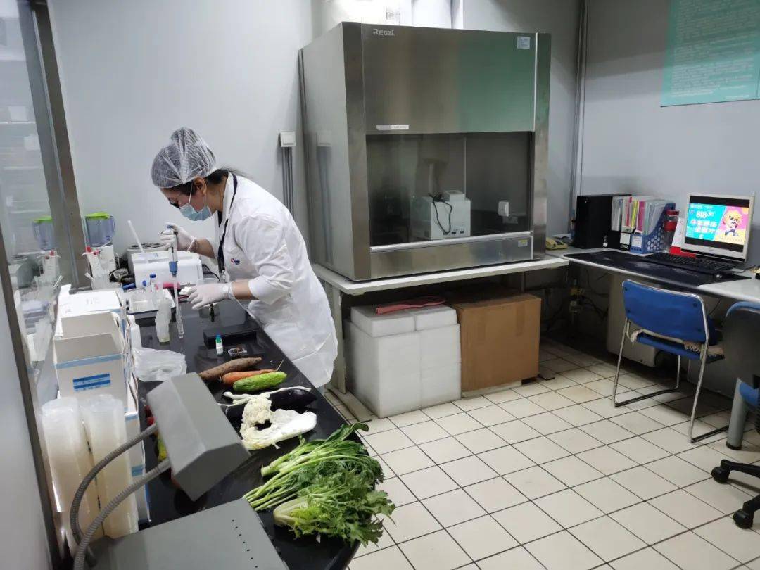 新州镇食品检测实验室装修方案